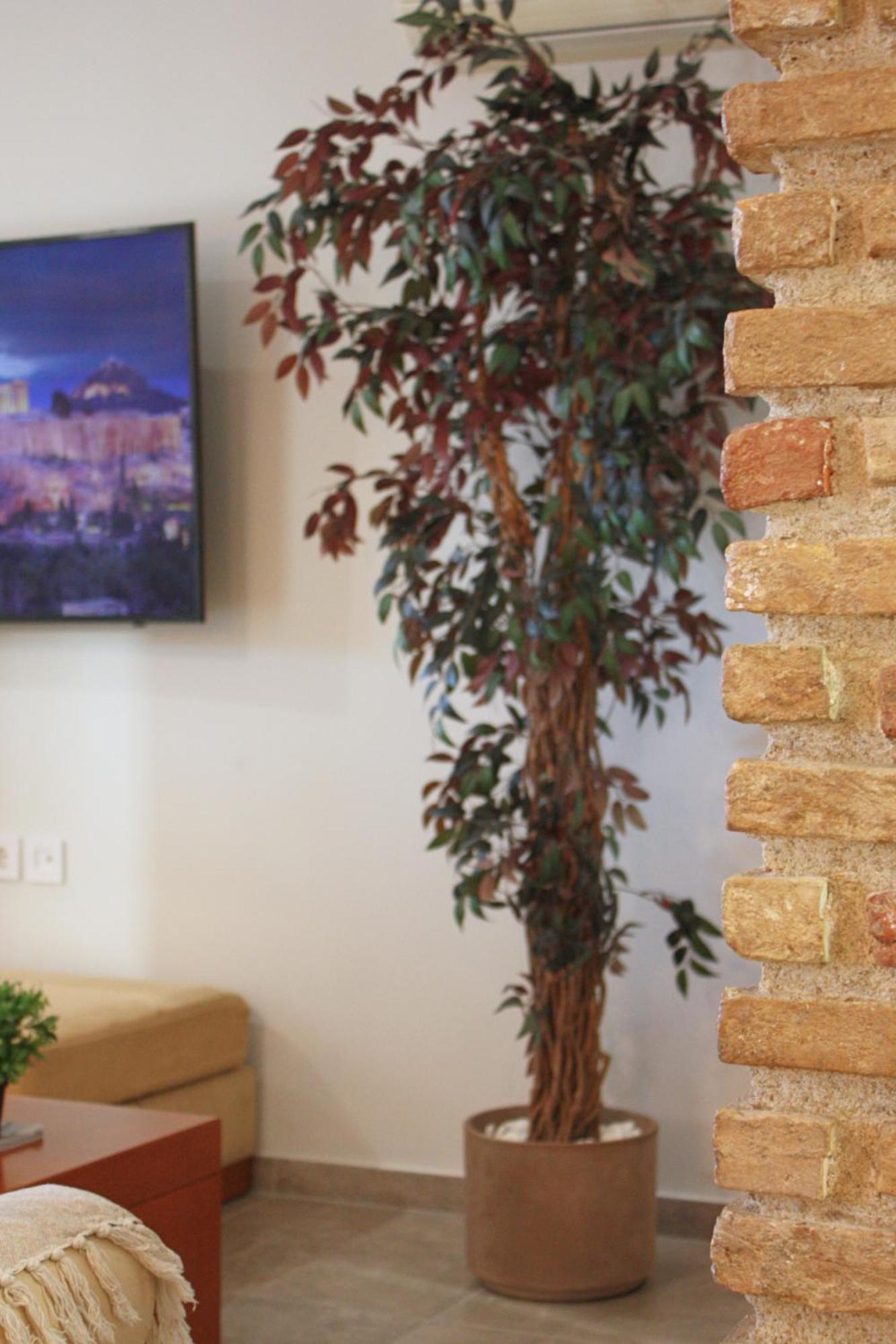 Camara Suite Кос Екстериор снимка